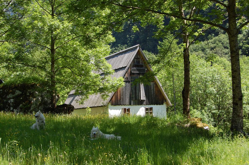Bezgova Hisica Villa โบเว็ก ภายนอก รูปภาพ