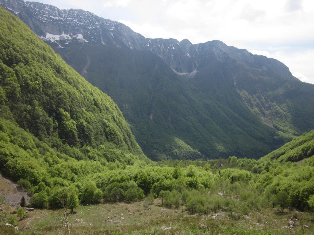 Bezgova Hisica Villa โบเว็ก ภายนอก รูปภาพ