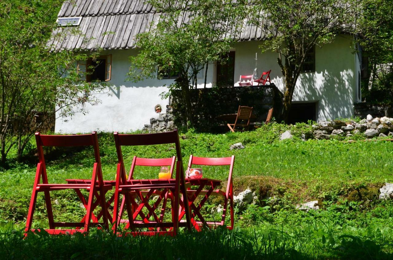 Bezgova Hisica Villa โบเว็ก ภายนอก รูปภาพ