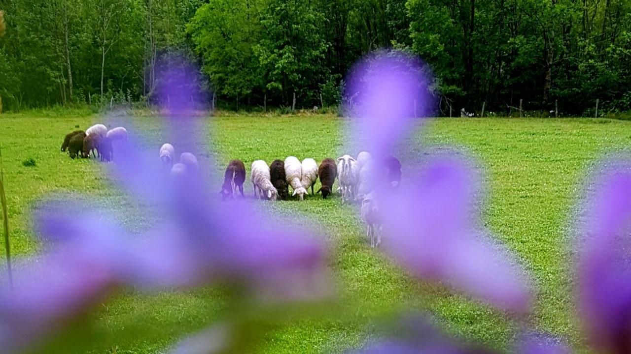 Bezgova Hisica Villa โบเว็ก ภายนอก รูปภาพ