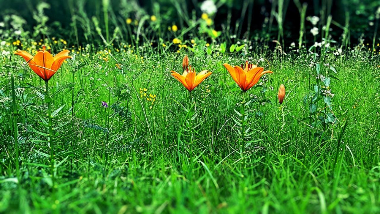 Bezgova Hisica Villa โบเว็ก ภายนอก รูปภาพ