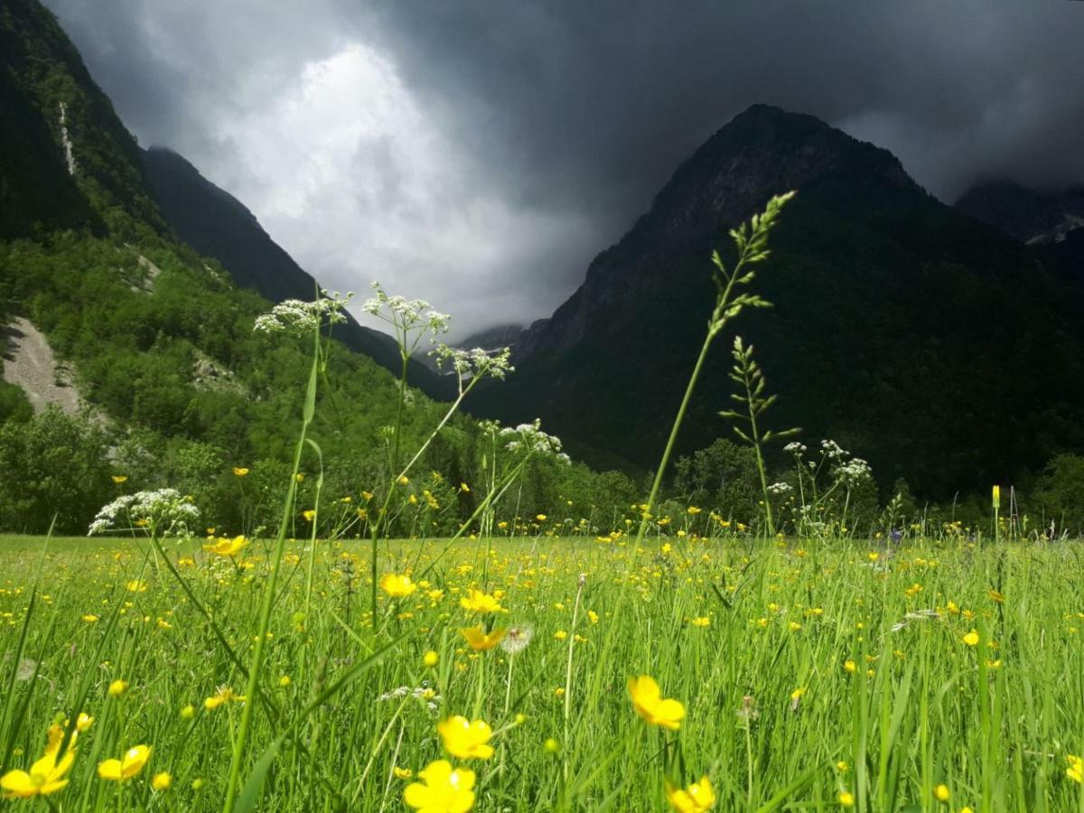 Bezgova Hisica Villa โบเว็ก ภายนอก รูปภาพ