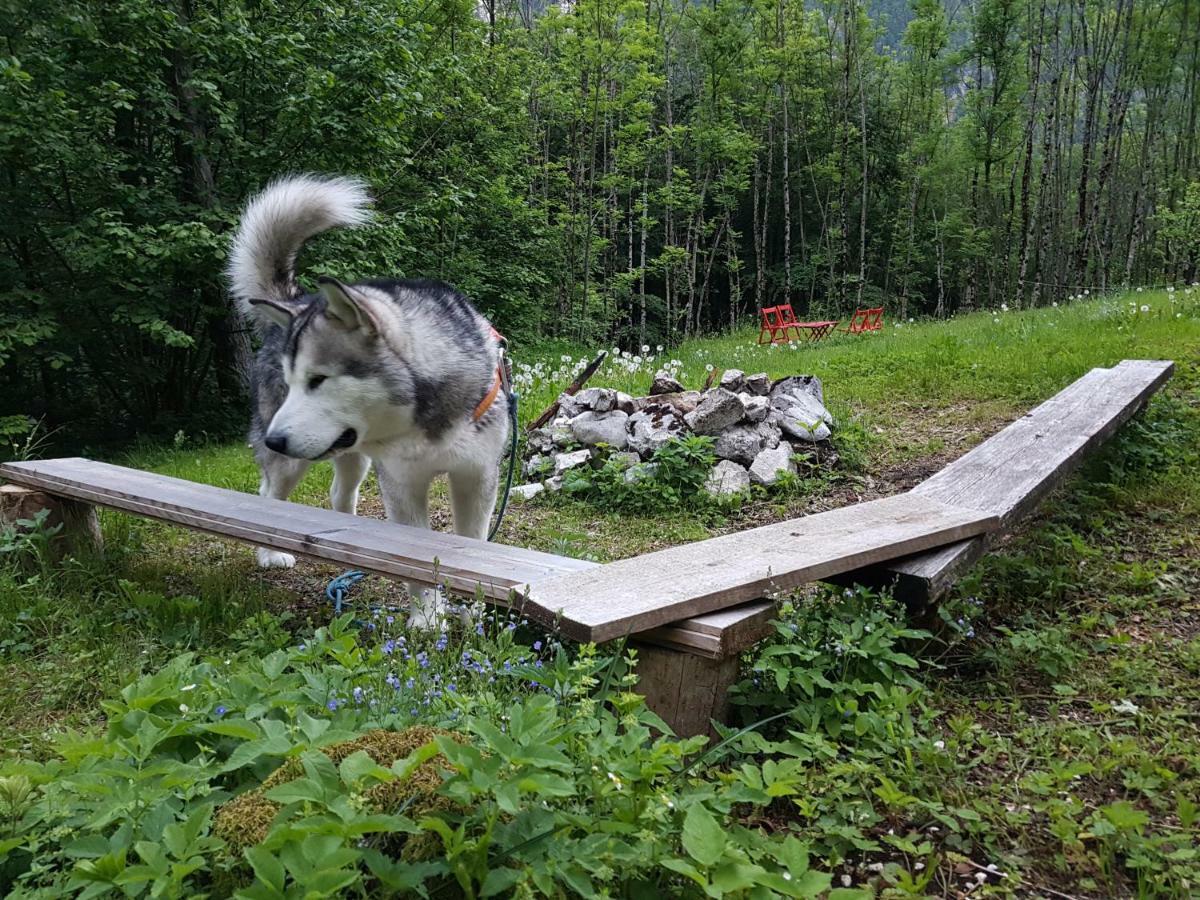 Bezgova Hisica Villa โบเว็ก ภายนอก รูปภาพ